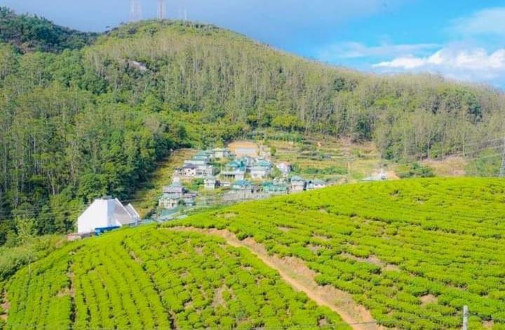 Aloka Home Stay Нувара-Элия Экстерьер фото
